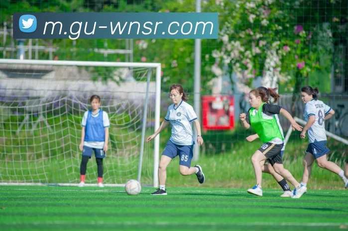 威尼斯人官网发展历程